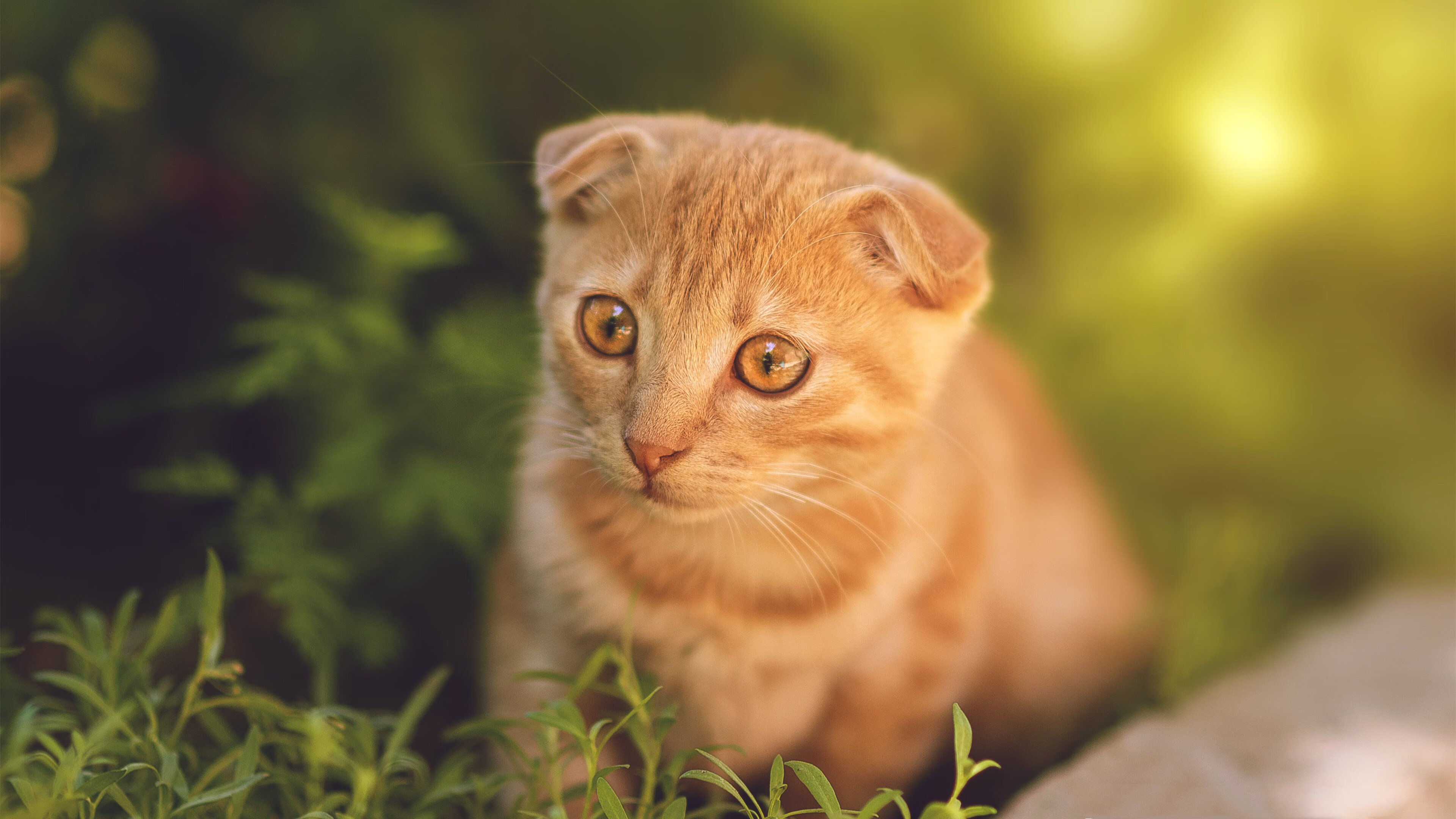 九游app下载中心-联赛排行榜：本赛季最火爆的争冠球队名单，联赛最佳