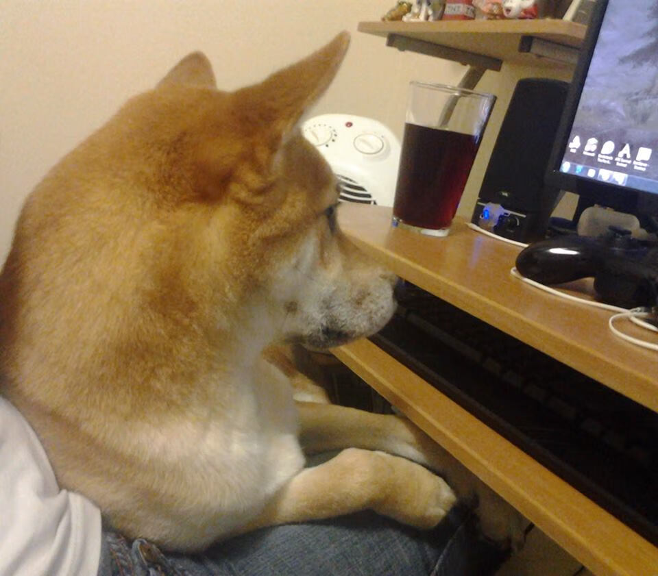 九游游戏中心-CBA多队优化阵容，cba30支球队