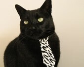 九游（jiuyou.com）游戏-冰壶世界杯中国队全胜晋级淘汰赛，冰壶世锦赛2021直播