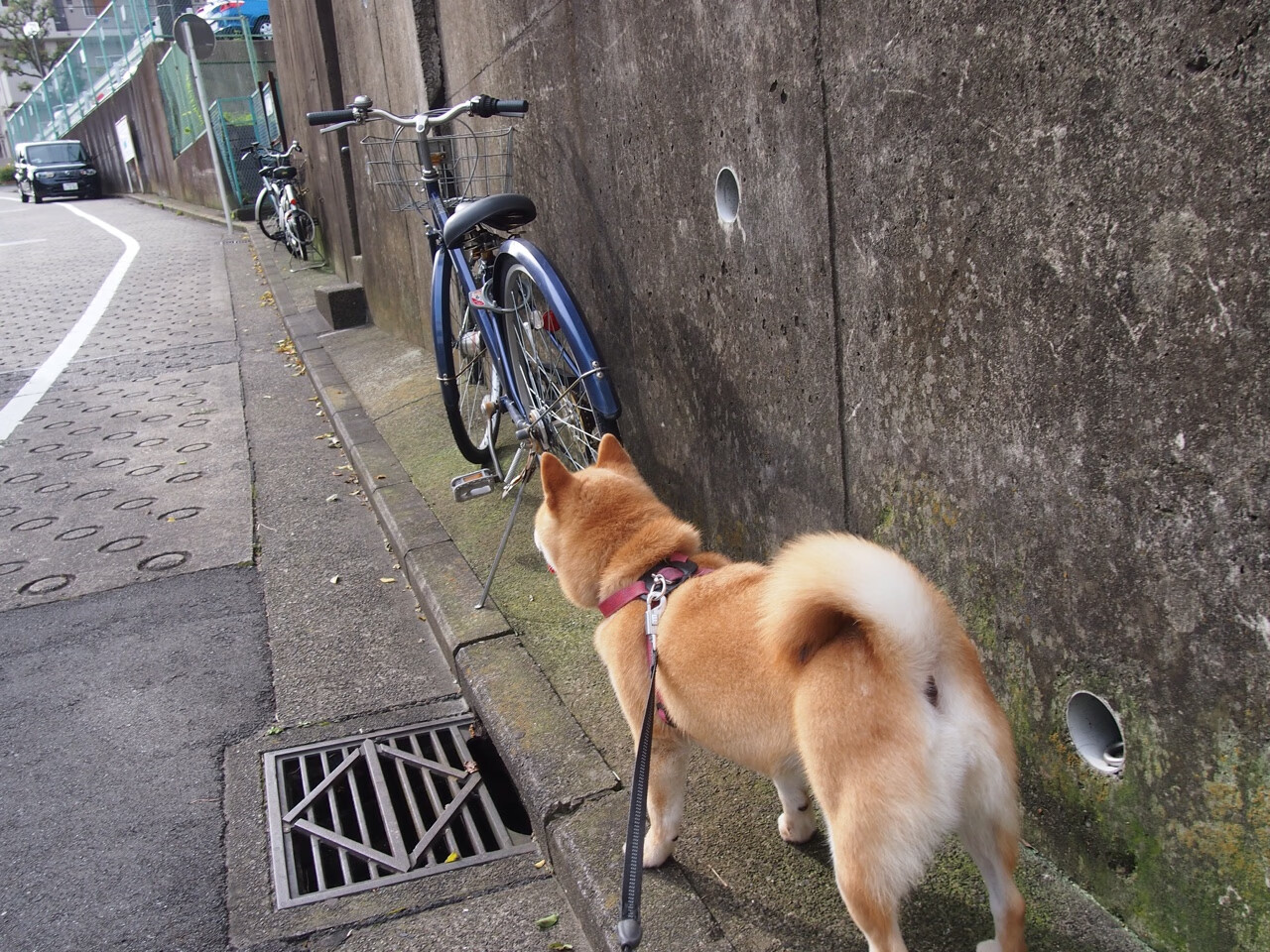 九游下载安装-国家队新秀表现亮眼备战奥运预选赛信心十足，新一期国家队