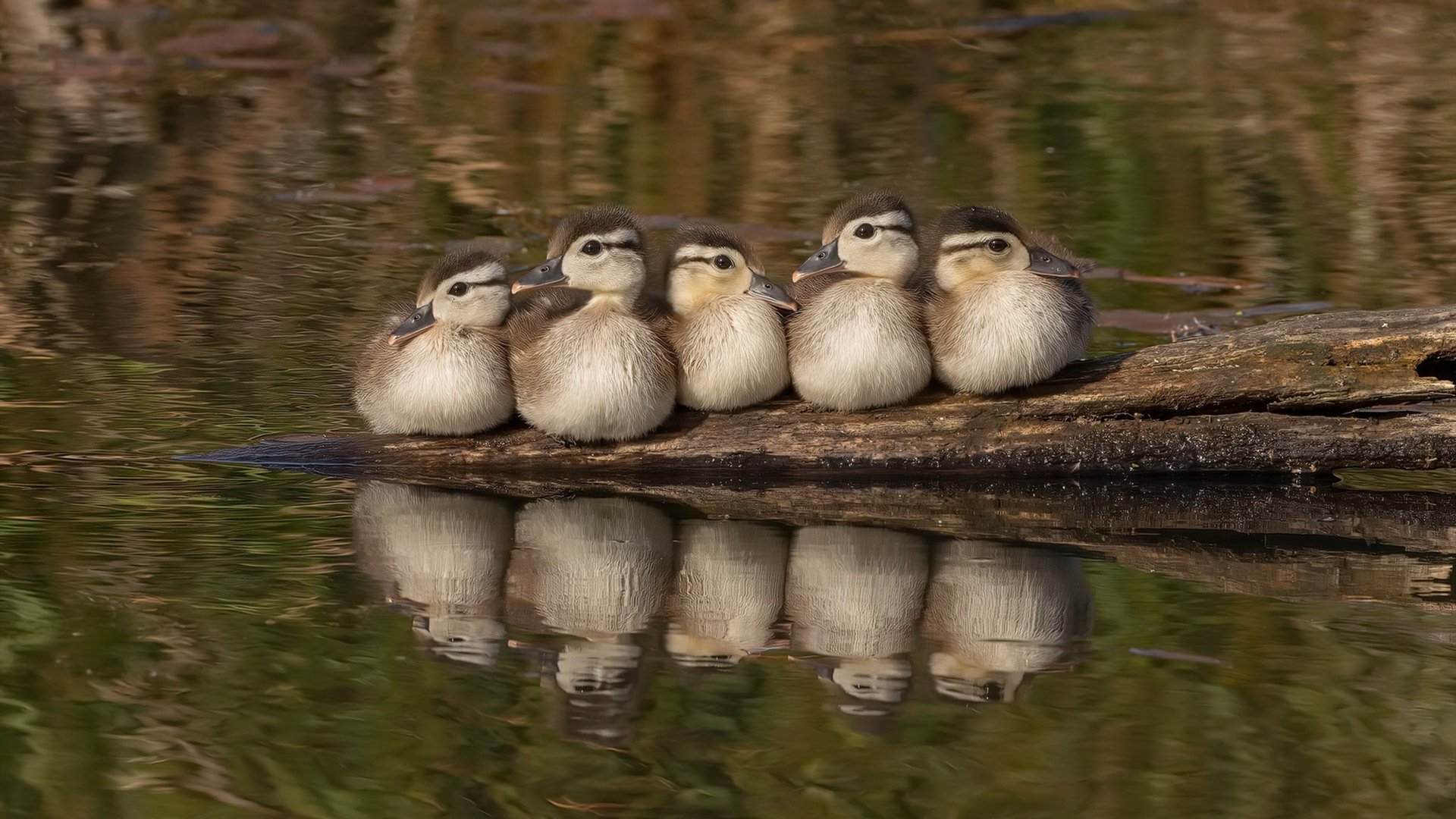 九游下载中心-国际热身赛国足迎战 技术分析揭示优势，国足热身赛赢过哪些强队