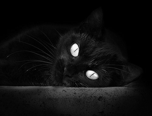 九游正版入口-塞维利亚连续制造禁区混乱抢占先机，塞维利亚吧