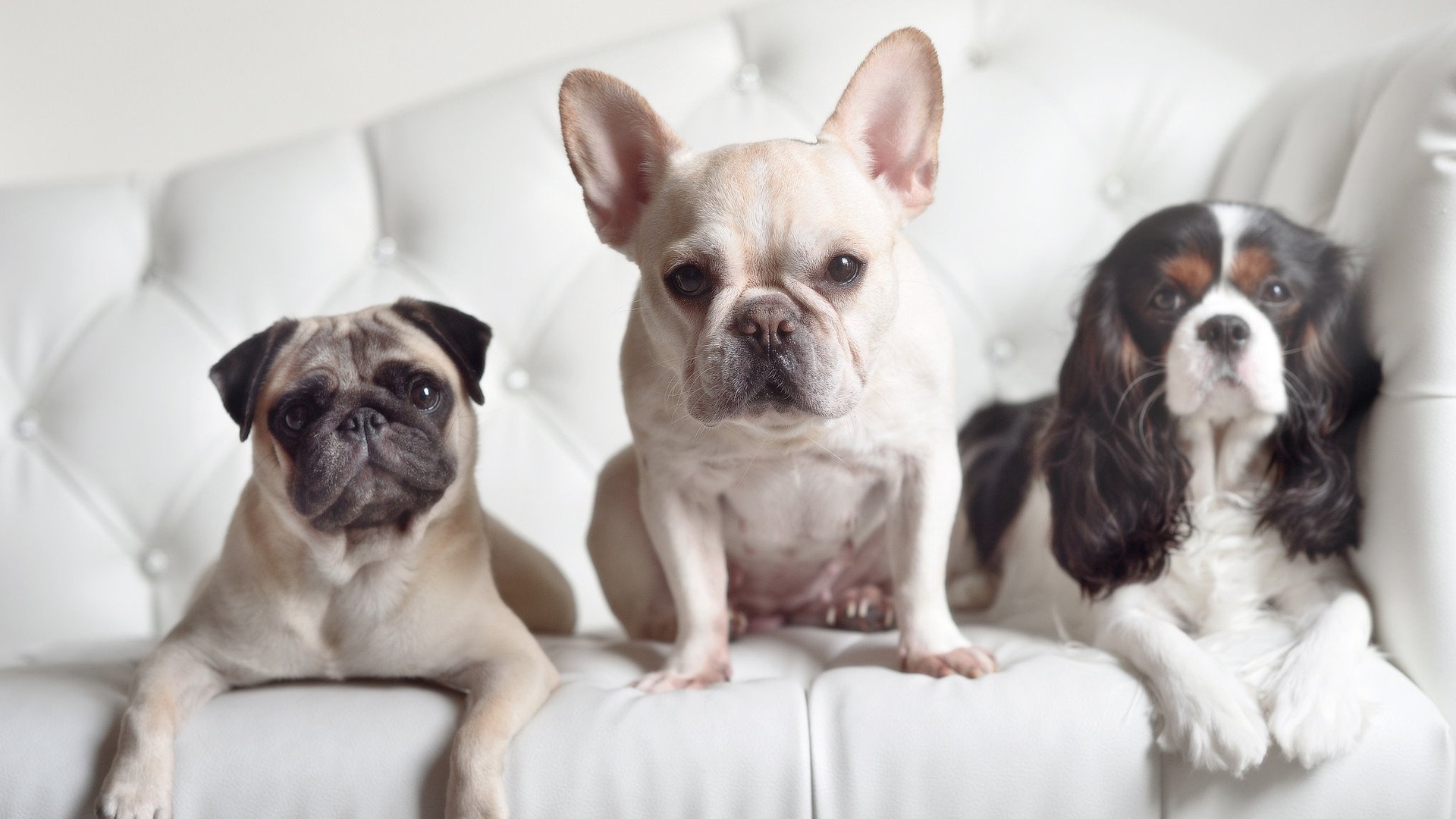 Jiu You-战术透明度高，变化与应对愈发重要，什么是战场透明的前提条件  第5张