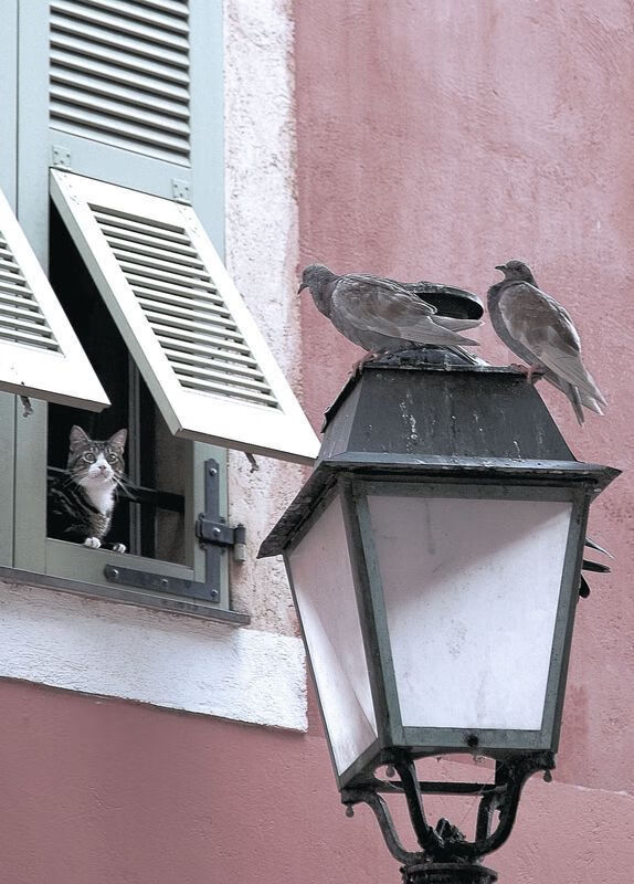 JIUYOU.COM-新疆男篮通过集训增强全队协作能力，新疆男篮怎么样