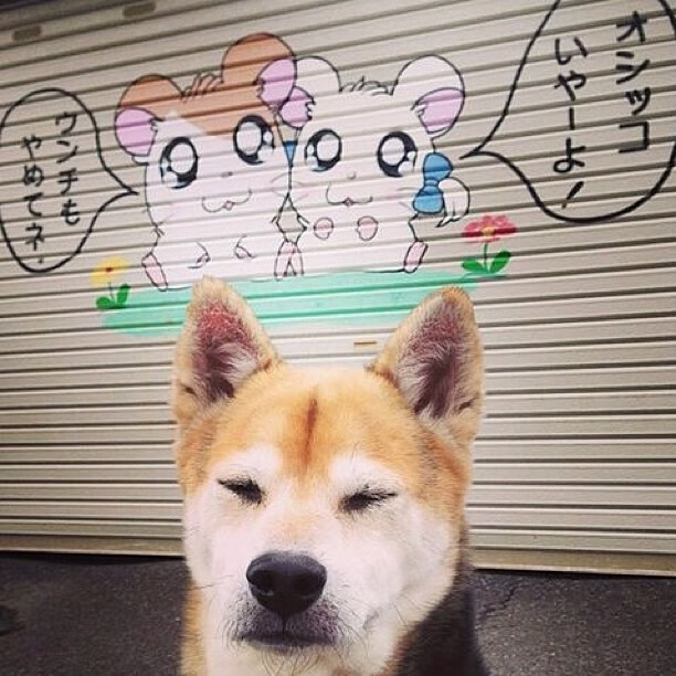 九游娱乐官网 (JIUYOU)-滑冰场地标准化推广助力冰雪进校园，滑冰项目进校园实施方案