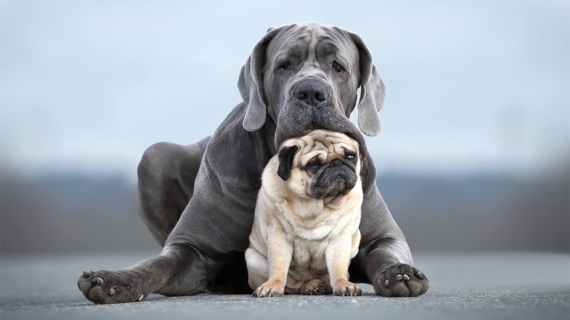 九游网页版入口-职业球员缺乏球风与性格匹配模型，职业球员缺乏球风与性格匹配模型的原因