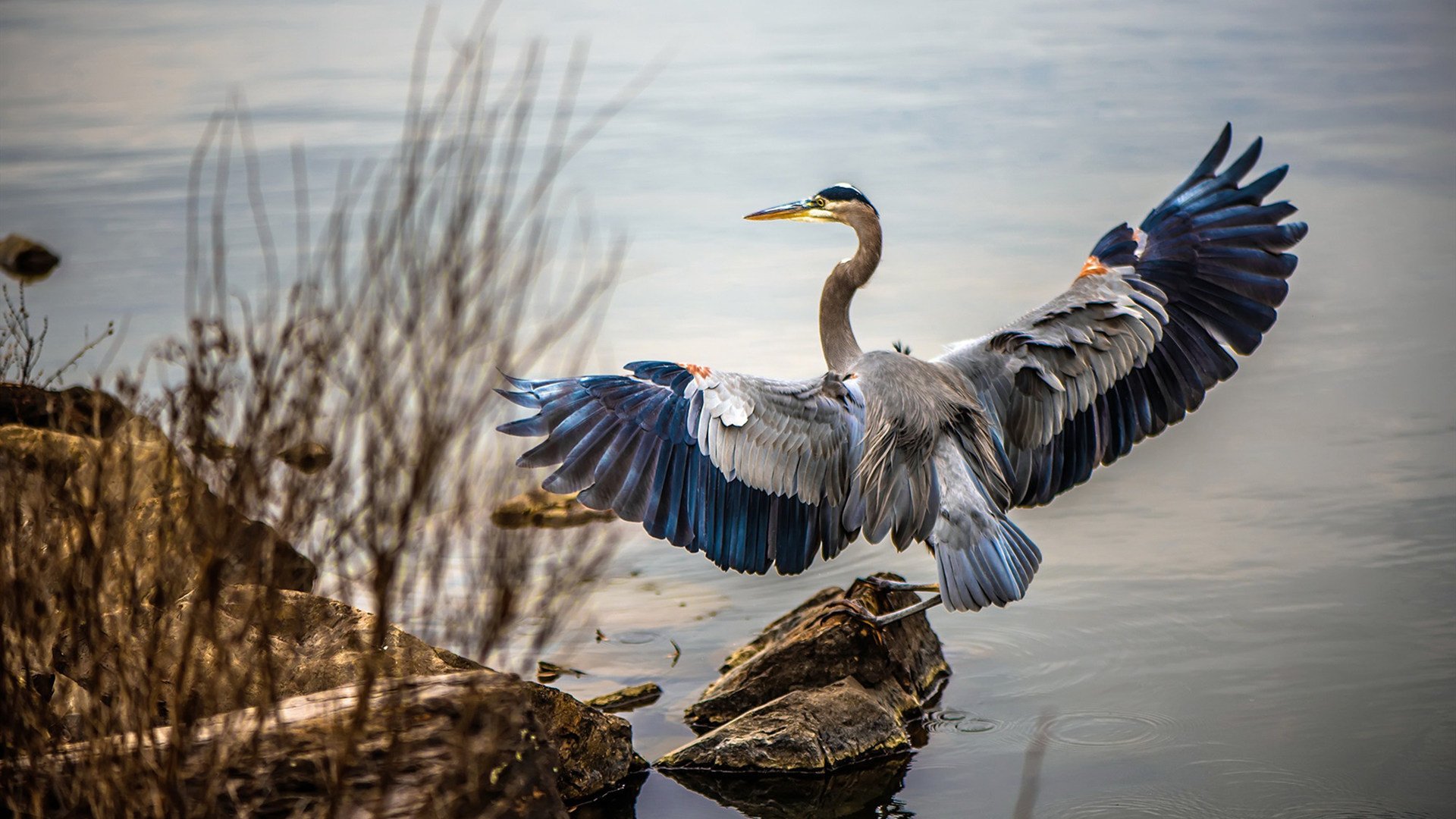九游官网下载电脑版-门将长传是否常用于拉开防线制造反击空间，门将穿长裤