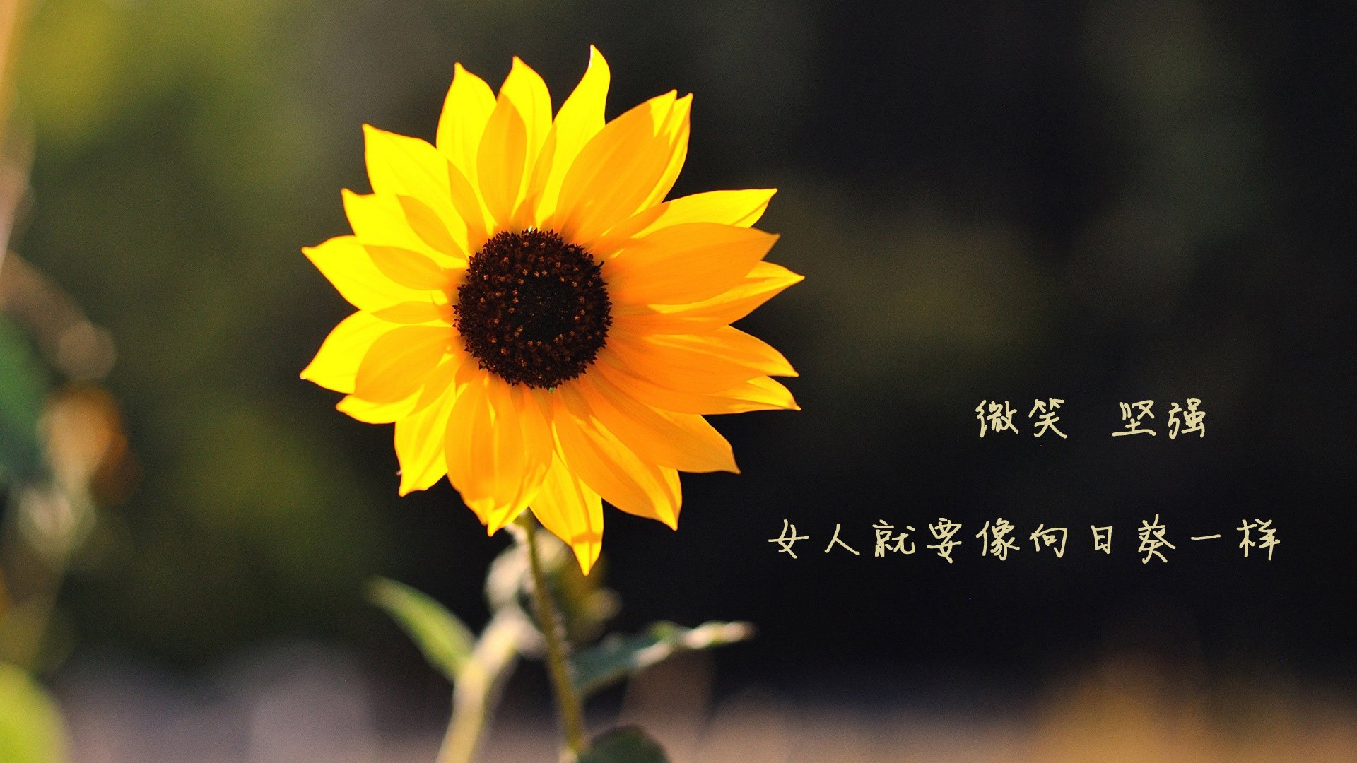 九游娱乐-中国篮球推动青少年篮球竞技水平整体提升，我国青少年篮球训练现状