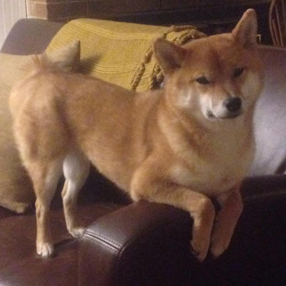 九游app官网下载-中国足球国家队备战重大赛事制定科学计划，中国足球队备战情况