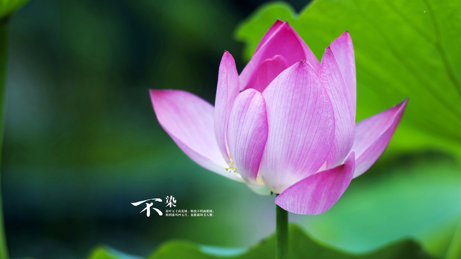 九游用户空间-中学篮球活动增设篮球文化讲座丰富学生篮球知识，中学篮球比赛实施方案