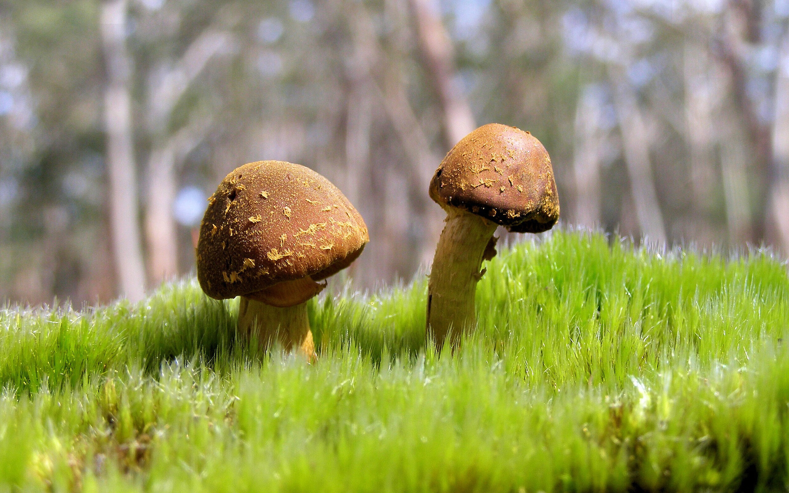 九游娱乐(jiuyou)官网-中超俱乐部纷纷打造青训学院探索长期发展路径，中超球队训练基地