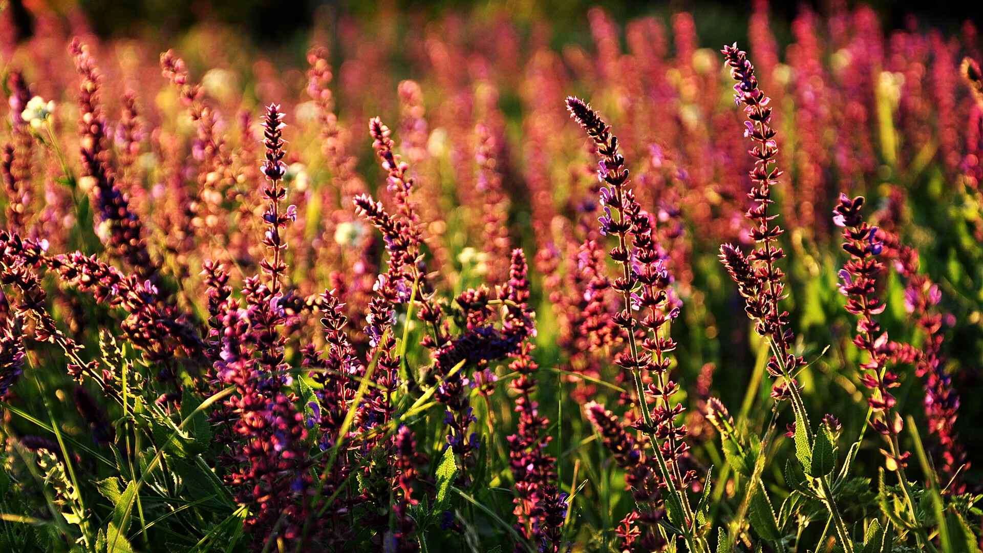 九游官网pc-体育新闻中心通报运动会赛程协调机制运行成果，运动比赛新闻