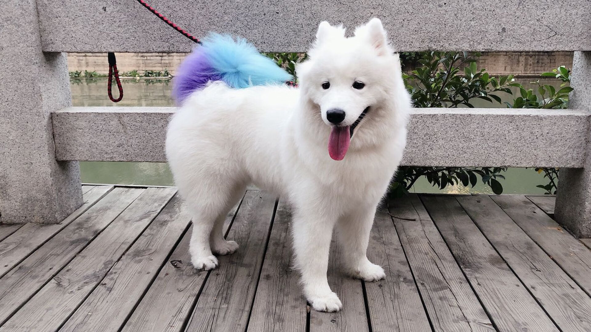 九游娱乐官网 (JIUYOU)-坦桑尼亚男篮在非洲锦标赛中迎来新篇章，体育潜力巨大