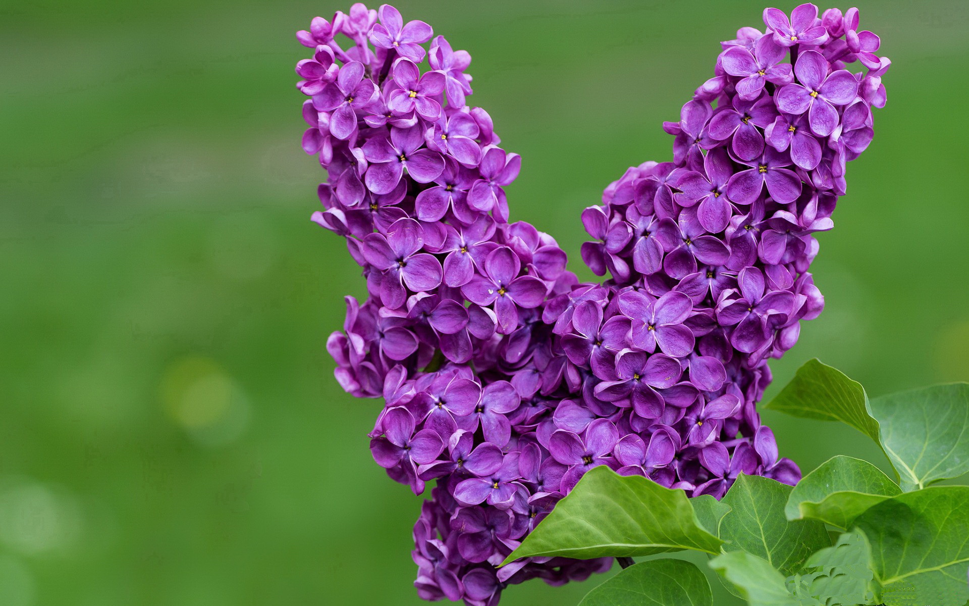 九游APP官网-德甲冠军争夺：关键战役一触即发，德甲冠军球队