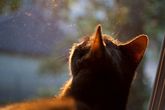 九游下载安装-李恩：无论进攻还是防守，他都在全黑队中场起到了至关重要的作用