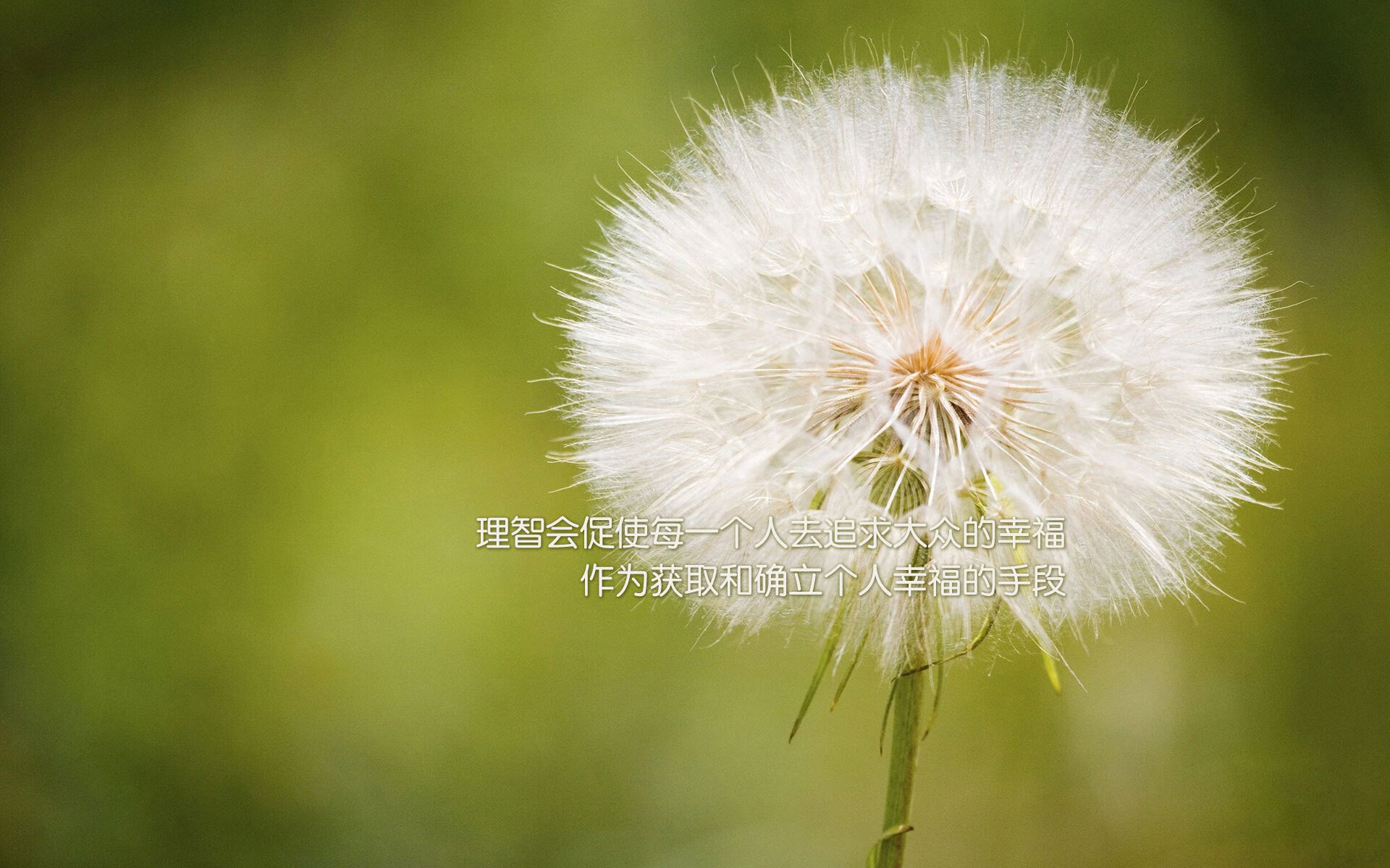 九游（jiuyou.com）游戏-欧洲杯大戏继续：变阵、突破、奇迹频出！，欧洲杯详解