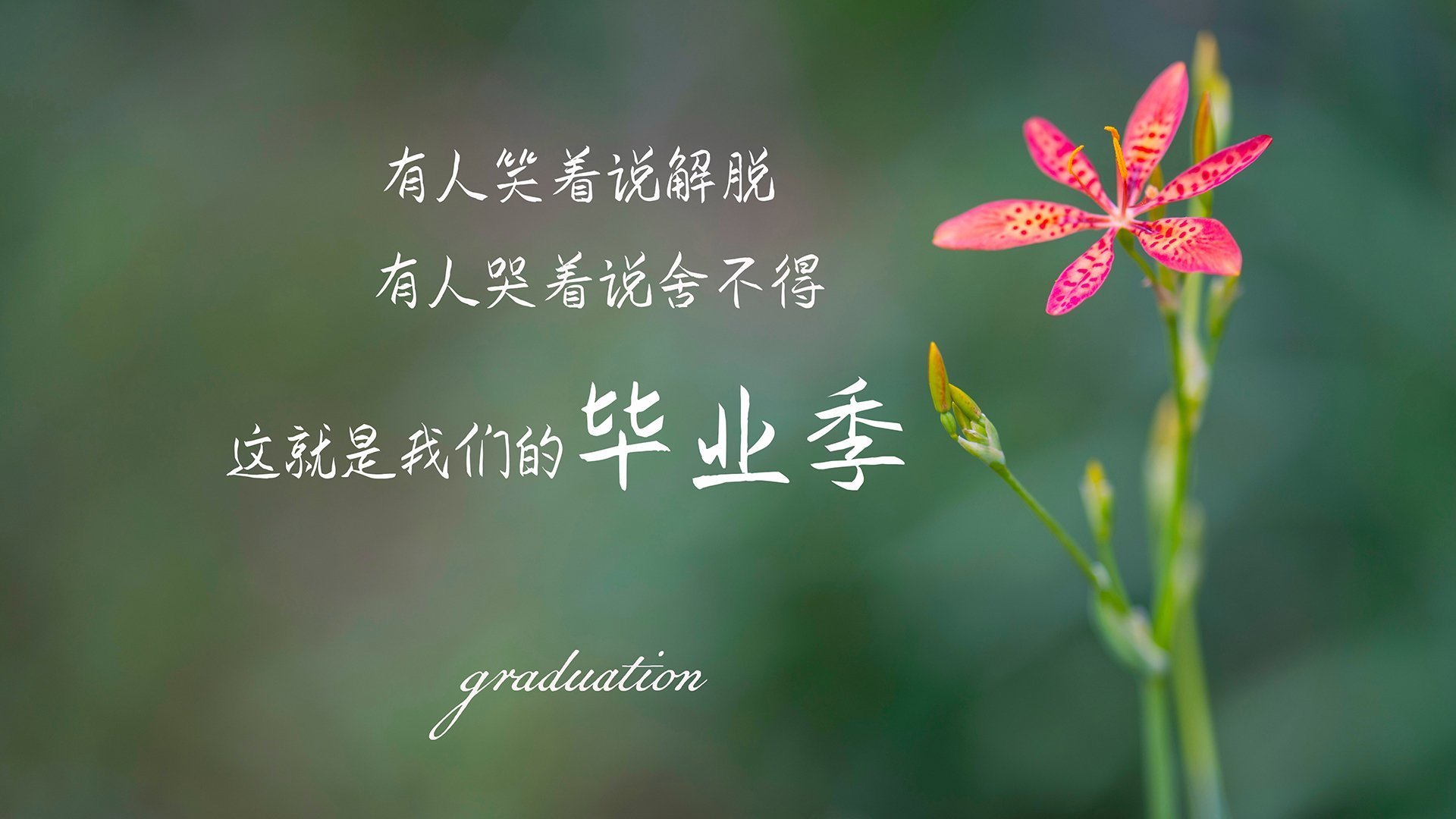 九游app官网下载-澳大利亚组合鲁索与基尼决赛表现稳健，澳大利亚组合鲁索与基尼决赛表现稳健的比赛