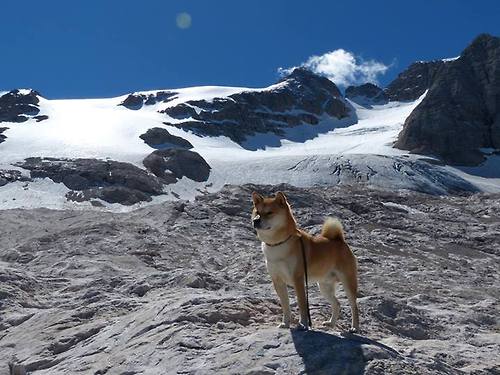九游下载中心-维尔·冯·威克：南非队前锋中的“重型坦克”，突破力极强