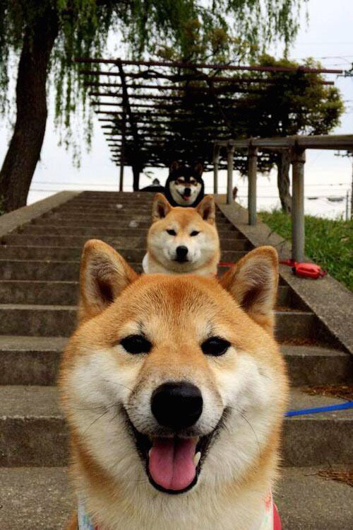 -老将巅峰对决再现,经典对抗被重新演绎,老将巅峰对决再现,经典对抗被重新演绎了吗