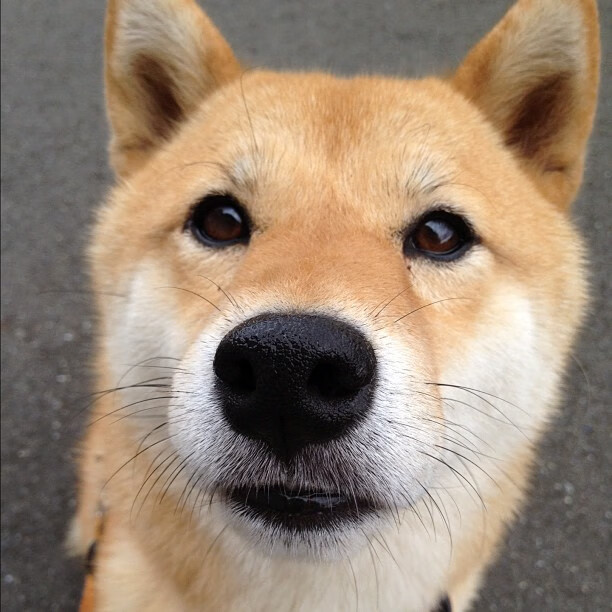 九游娱乐(jiuyou)官方网站-5年蜕变,雷军讲述玄戒芯片及造车的坚持与突破