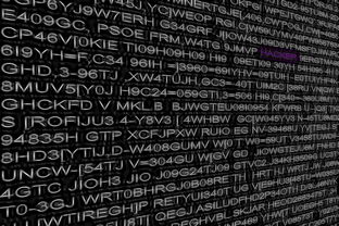 九游下载安装-Sgroi 率队实现二次进攻节奏扭转,二次进攻时间